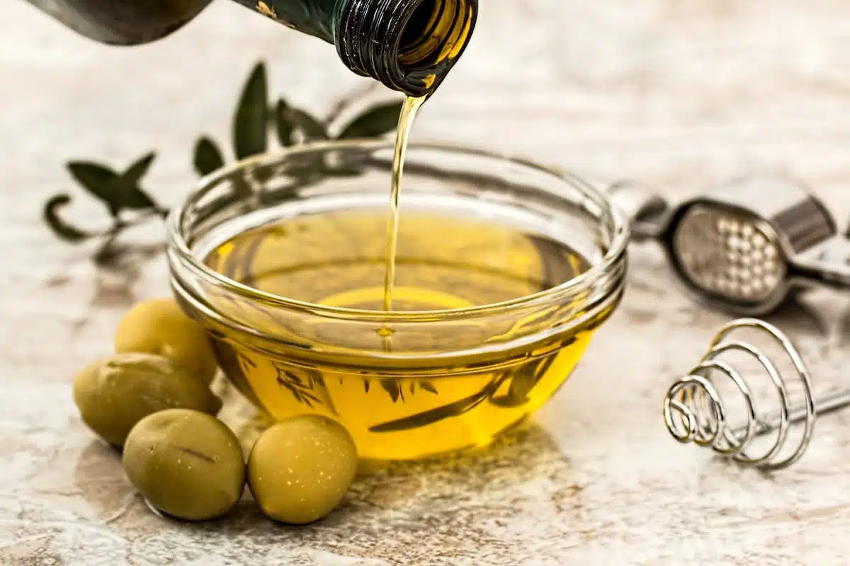Les signes révélateurs de la santé d’un olivier – conseils et astuces en jardinage bio